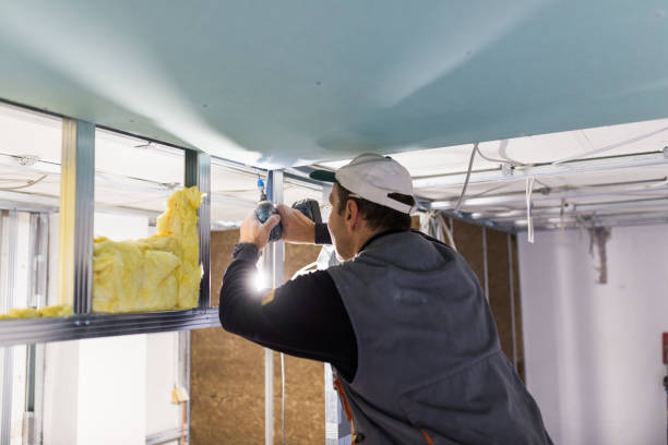 Best Insulation Removal  in Lansing, KS