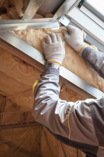 Best Eco-Friendly or Green Insulation Solutions  in Lansing, KS