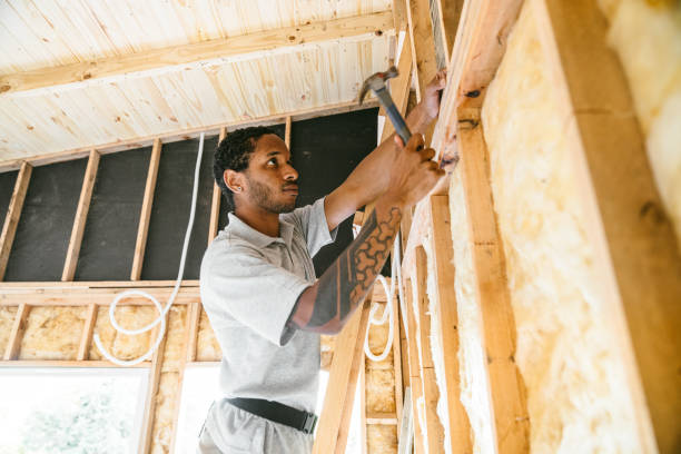 Best Attic Insulation Installation  in Lansing, KS