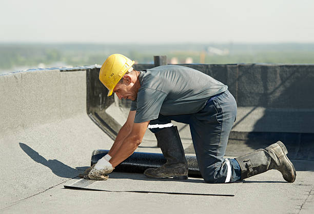 Best Basement Insulation  in Lansing, KS